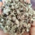 厂家直销种植棉子壳，优质棉子売，客户放心购买