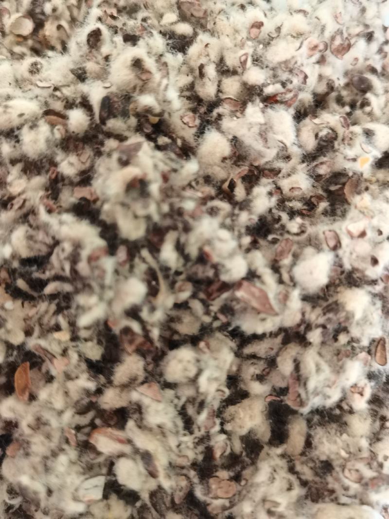 厂家直销种植棉子壳，优质棉子売，客户放心购买