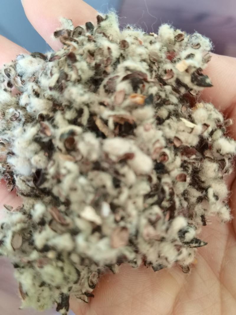 厂家直销种植棉子壳，优质棉子売，客户放心购买