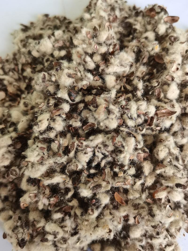 厂家直销种植棉子壳，优质棉子売，客户放心购买