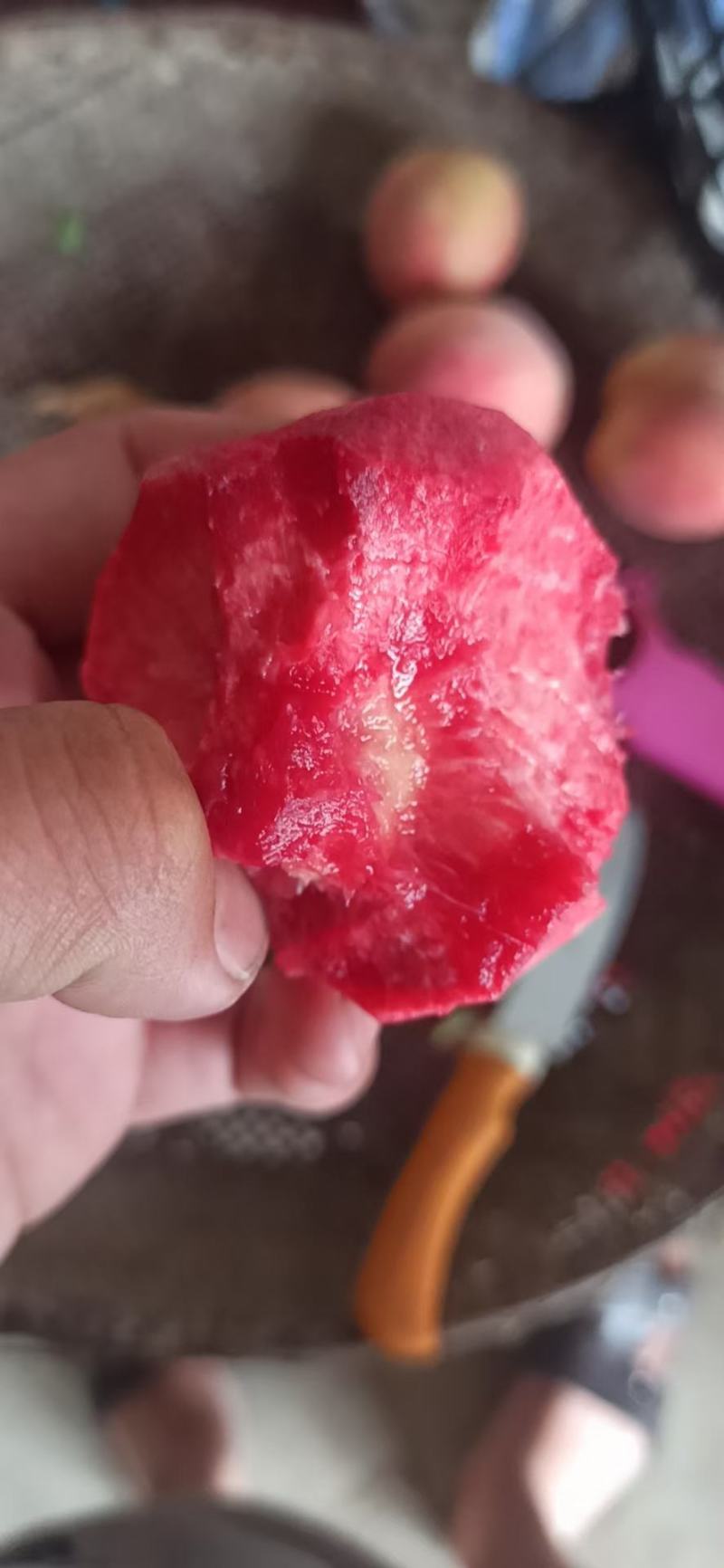 血桃不离核桃子大别山湖北