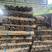 大量竹把出售：30支，40支，50支，100支。