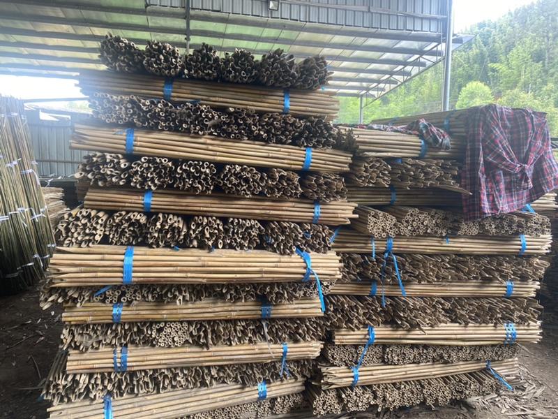 大量竹把出售：30支，40支，50支，100支。