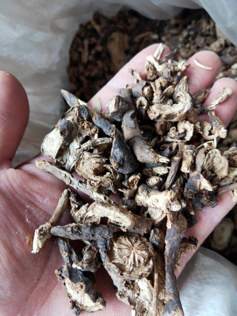 墓头回墓回头产地销量大货好代抓各种药方