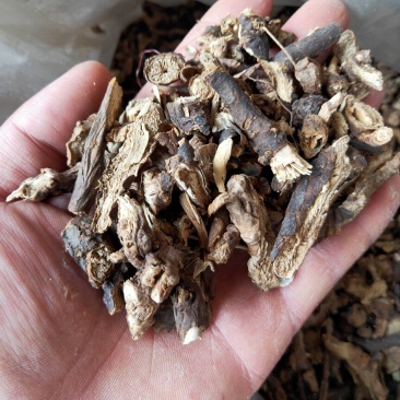 墓头回墓回头产地销量大货好代抓各种药方