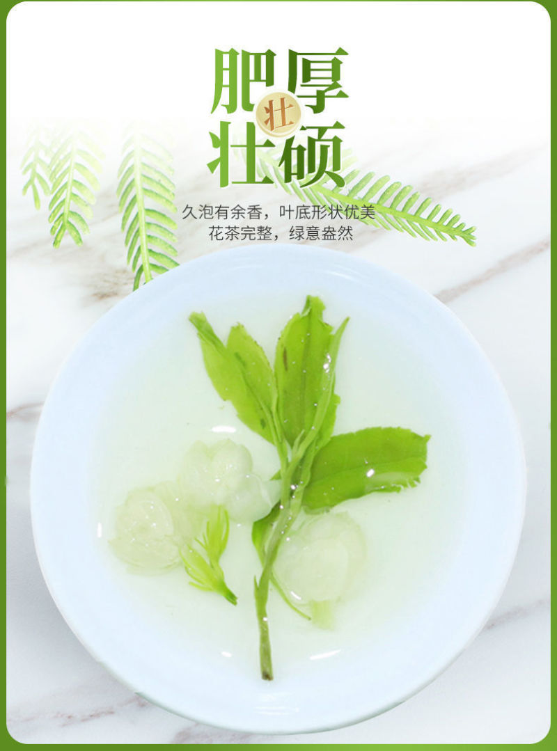 花茶叶茉莉花茶特级浓香型茉莉花花茶横县新茶袋装散