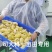 金枕头榴莲烘焙原料去核榴莲冷冻榴莲蛋糕千层原料