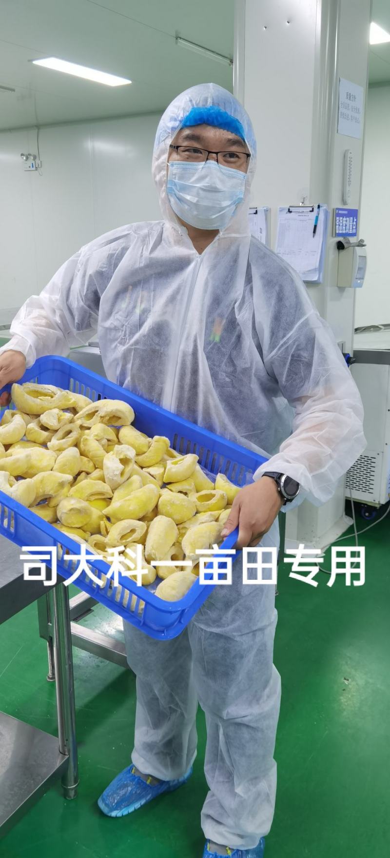 金枕头榴莲烘焙原料去核榴莲冷冻榴莲蛋糕千层原料