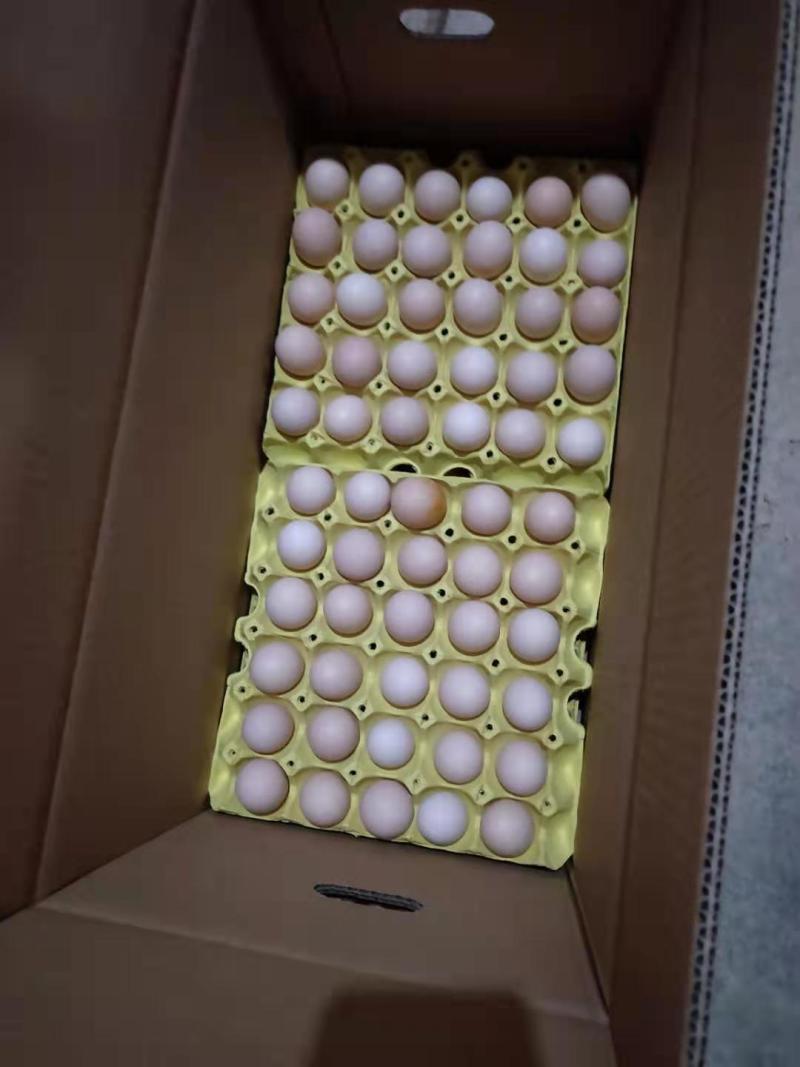 鸡蛋，罗曼粉，46左右，360个/件，每天20件