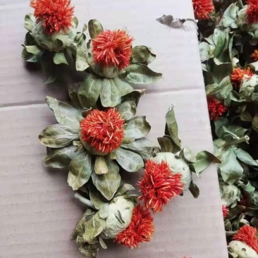 一手货源藏红花支持视频看货大量现货供应红花果