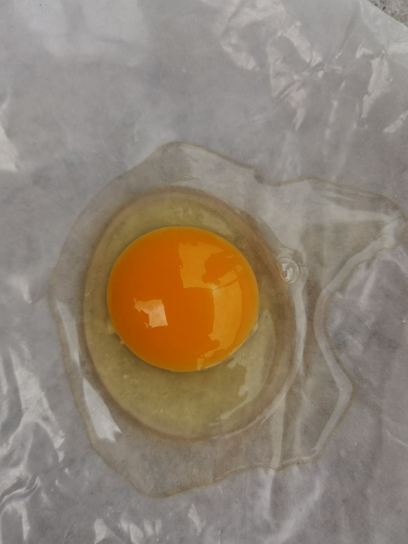 鸡蛋，罗曼粉，46左右，360个/件，每天20件