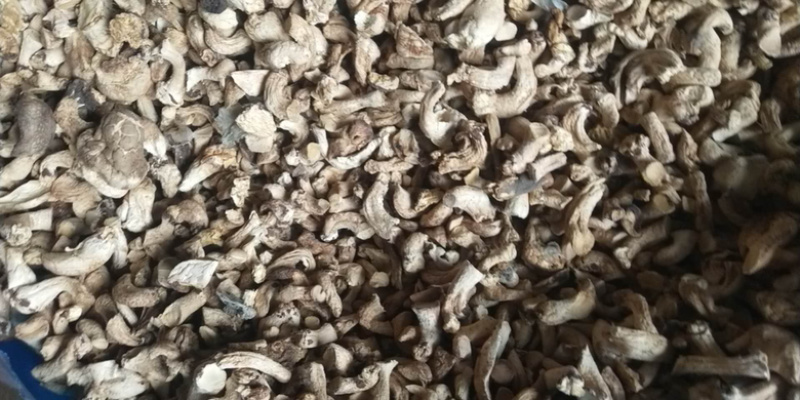 大量出售优质通货