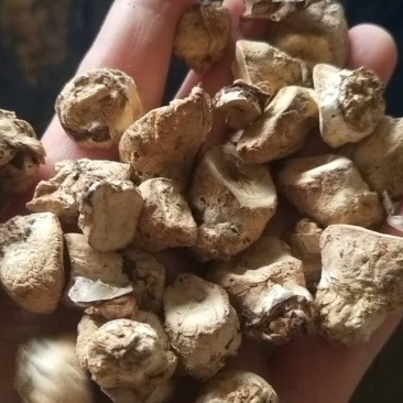 大量出售优质通货
