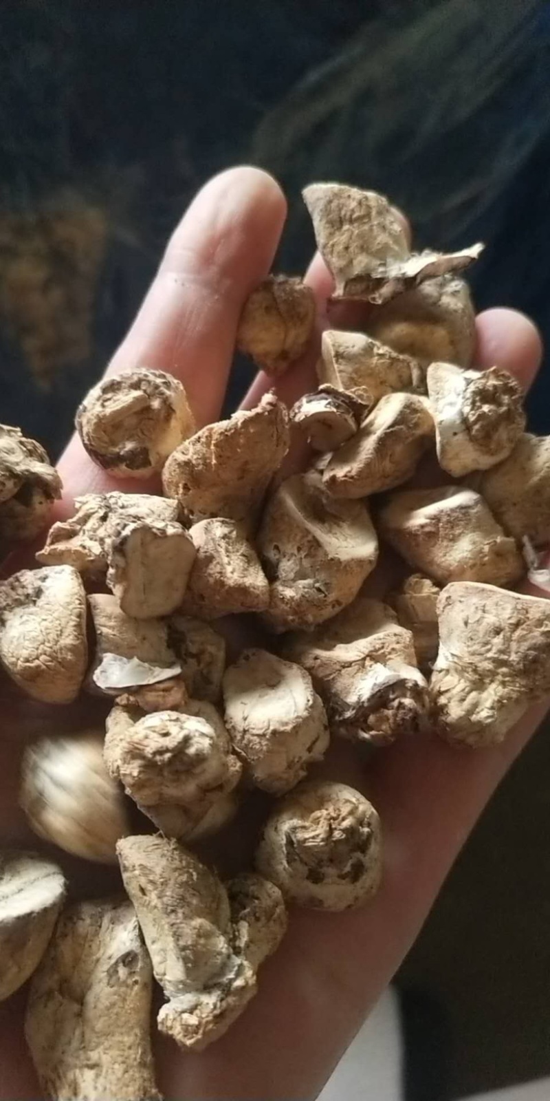 大量出售优质通货