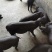 黑猪苗批发价格山东临沂日照黑猪苗价格安徽江苏黑猪崽基地
