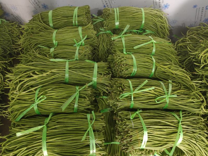 长豆角/豇豆，精品长豆角，长豆角大量上市，产地直供