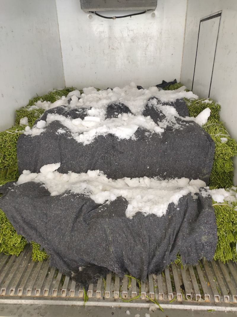 长豆角/豇豆，精品长豆角，长豆角大量上市，产地直供