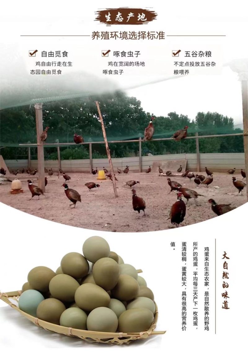 山东野鸡蛋一箱60和1008枚，欢迎选购，农户直发