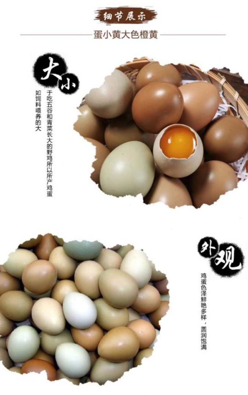 山东野鸡蛋一箱60和1008枚，欢迎选购，农户直发