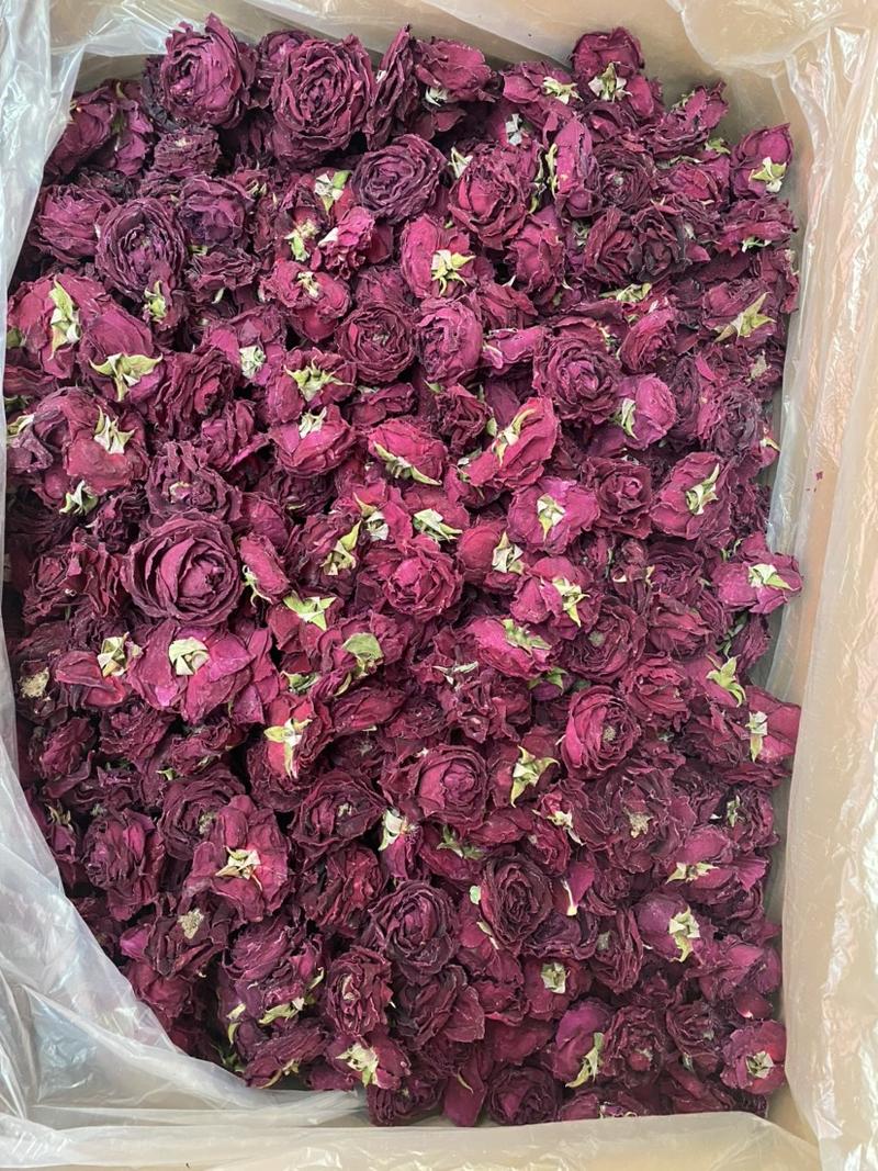云南墨红玫瑰产地直销价格实惠质量保证可实地看货