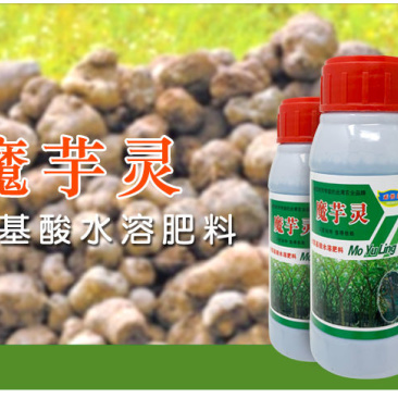汰腐净汰腐宁魔芋专用叶面肥杀菌剂软腐根腐病魔芋专用农药