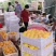徐州市丰县大沙河百果园水果基地，主营黄金密，金香黄桃