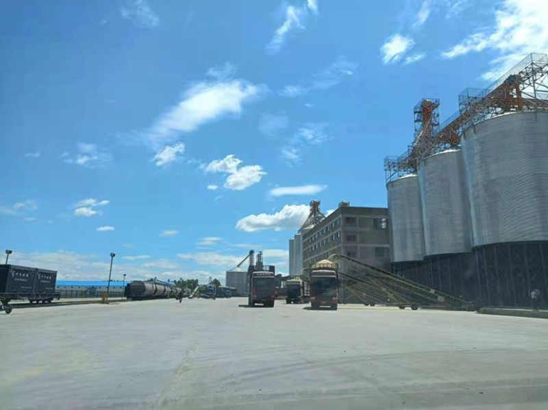黑龙江地区稻壳大量批发，年产10万吨，需求量大联系