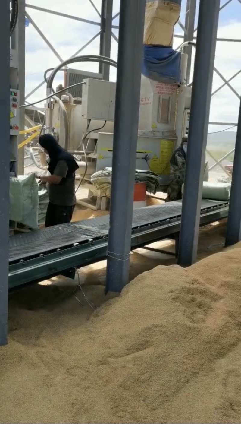 黑龙江地区稻壳大量批发，年产10万吨，需求量大联系