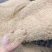 黑龙江地区稻壳大量批发，年产10万吨，需求量大联系