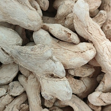 干姜个，干姜片，干姜粉，保证质量，来电有优惠，欢迎订购