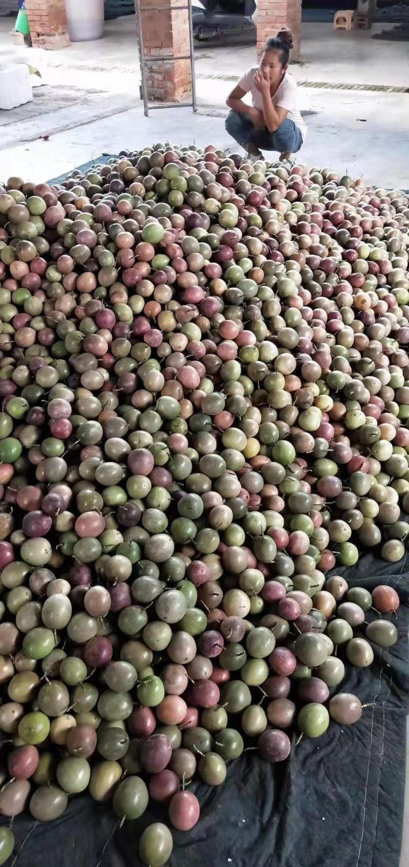 精品百香果适合电商平台及工加优选