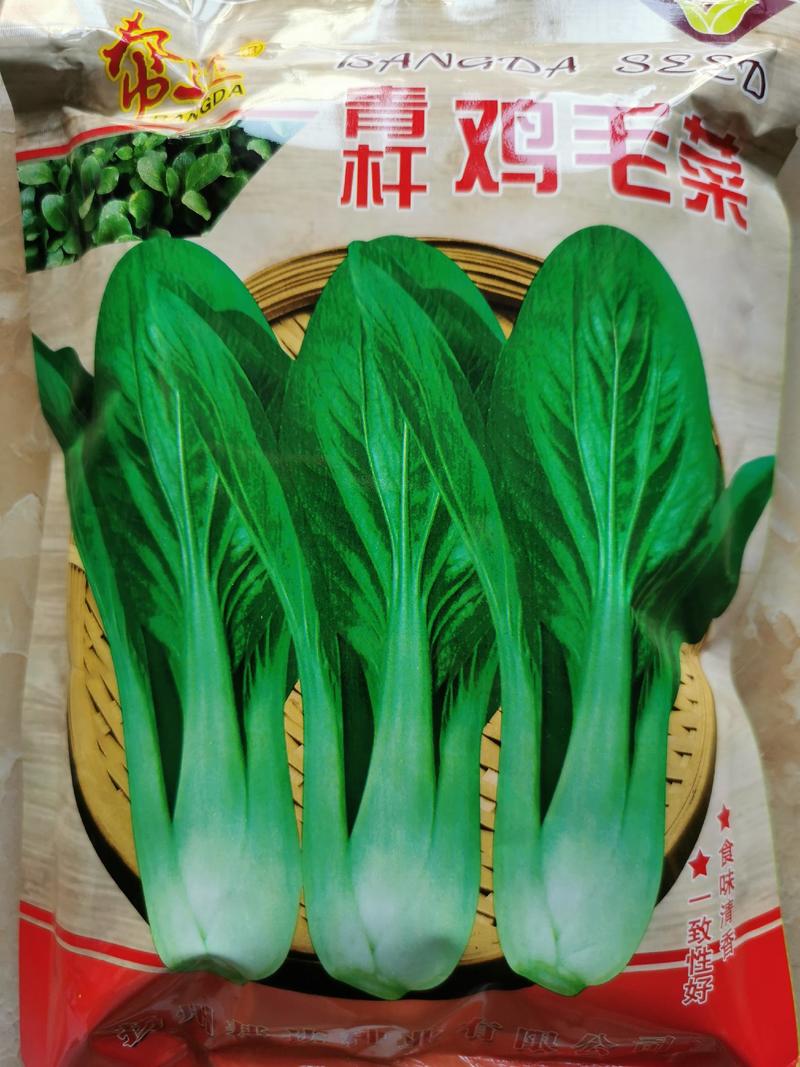 北海道鸡毛菜种子耐热耐热速生青菜种子100克