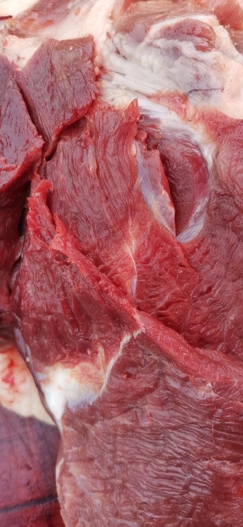 猪肉白条，鲜猪肉，冷鲜猪肉，冷鲜肉超低价批发