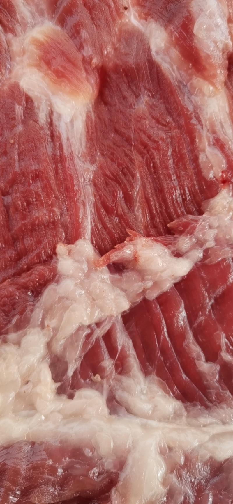 猪肉白条，鲜猪肉，冷鲜猪肉，冷鲜肉超低价批发