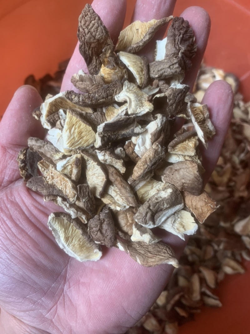 产地直销香菇干货碎片冬菇香菇干货，一手货源，量大从优