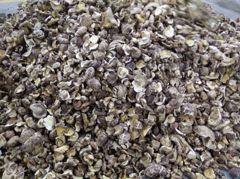 产地直销香菇干货碎片冬菇香菇干货，一手货源，量大从优