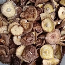 大片菜菇小薄菇碎片香菇餐饮包子饺子馅料食材干净无杂无菇脚
