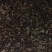 野花组合种子多年生四季开花波斯菊格桑花百日草阳台