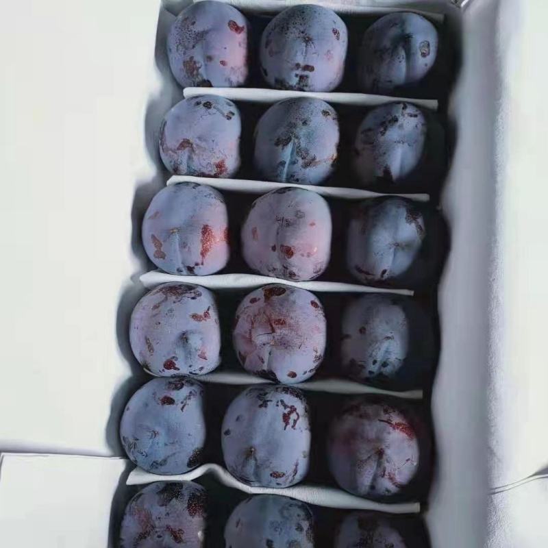 汉源黑布林，个大肉多壶小，量大，中要的老板联系