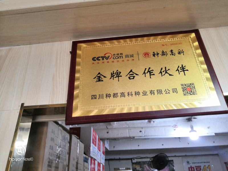 万众春雷，牛心包甘蓝种子，四川种都种业生产