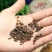 桂枝500g中药材广西桂枝尖正品野生特细嫩条桂枝一级可