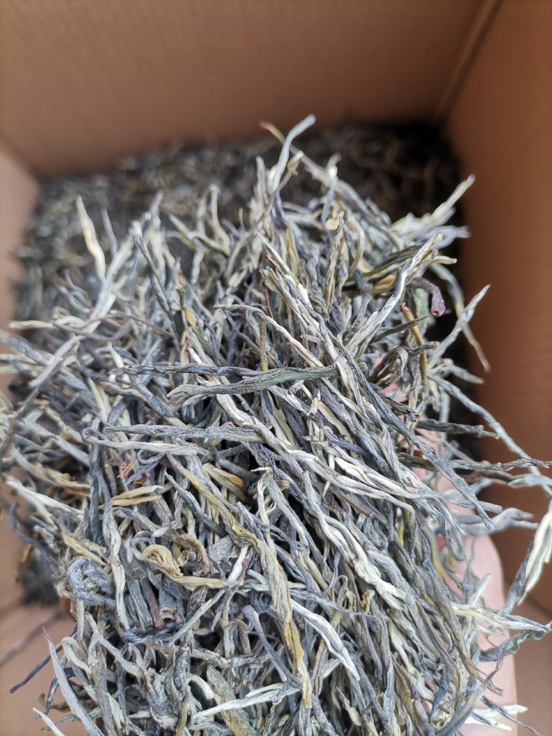 厂家直销2021松针绿茶高山云雾白毫绿针茶