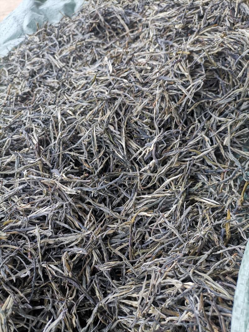 厂家直销2021松针绿茶高山云雾白毫绿针茶