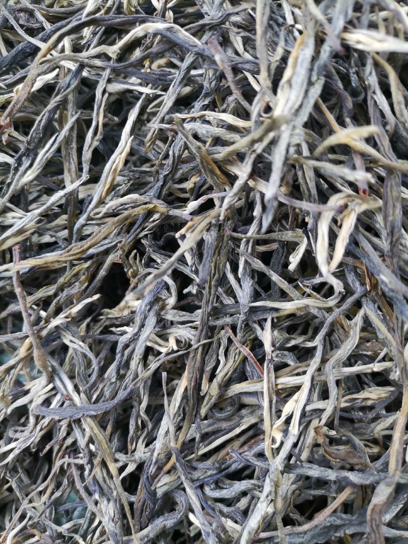 厂家直销2021松针绿茶高山云雾白毫绿针茶