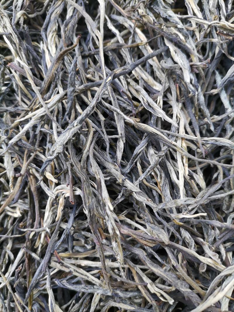 厂家直销2021松针绿茶高山云雾白毫绿针茶