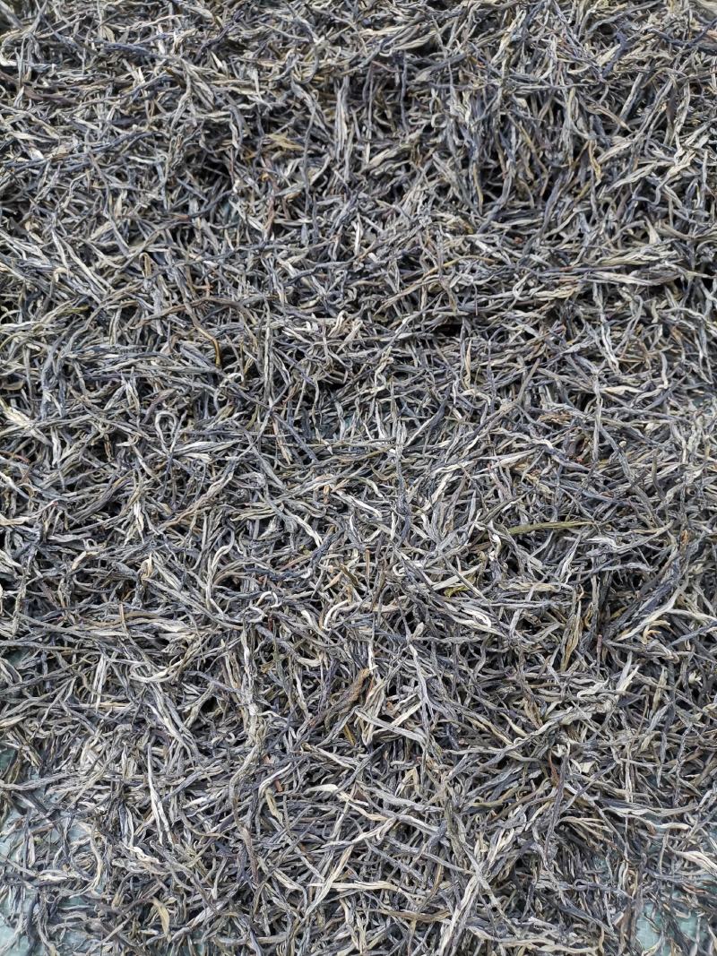 厂家直销2021松针绿茶高山云雾白毫绿针茶