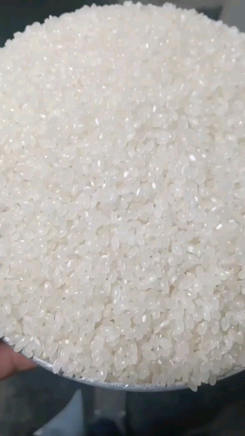 大量出售东北珍珠米东北长粒香米价格便宜欢迎订购