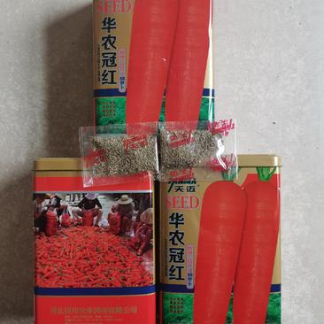 【精品】天迈冠红一代杂交胡萝卜种子产量高