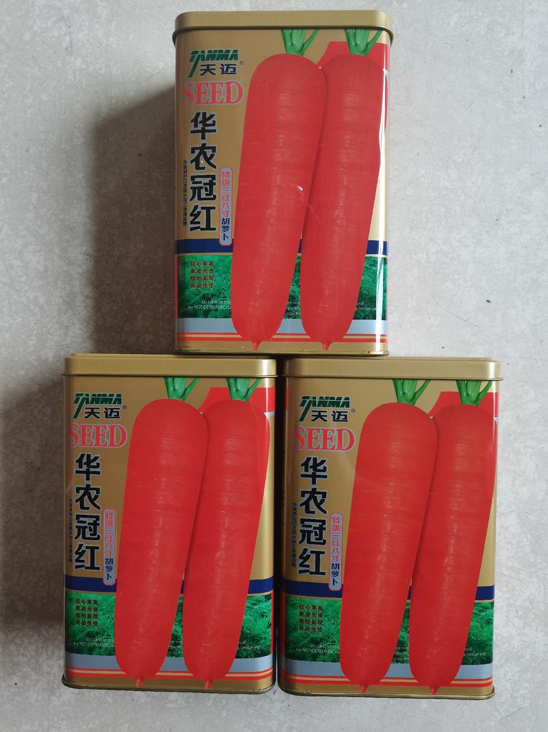 【精品】天迈冠红一代杂交胡萝卜种子产量高