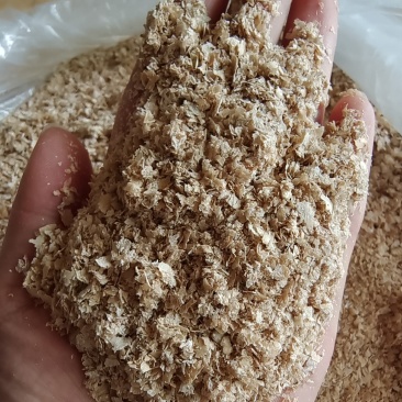 精选优质麸皮，保质保量，供货稳定，发货快，欢迎随时联系！